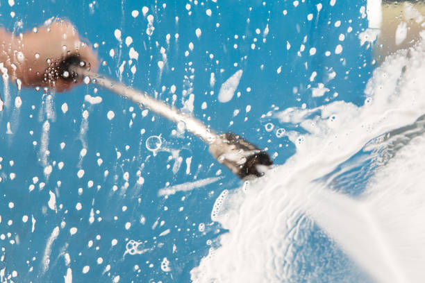 Best Soft Washing  in Topeka, IN