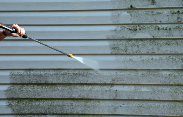 Best Solar Panel Cleaning  in Topeka, IN
